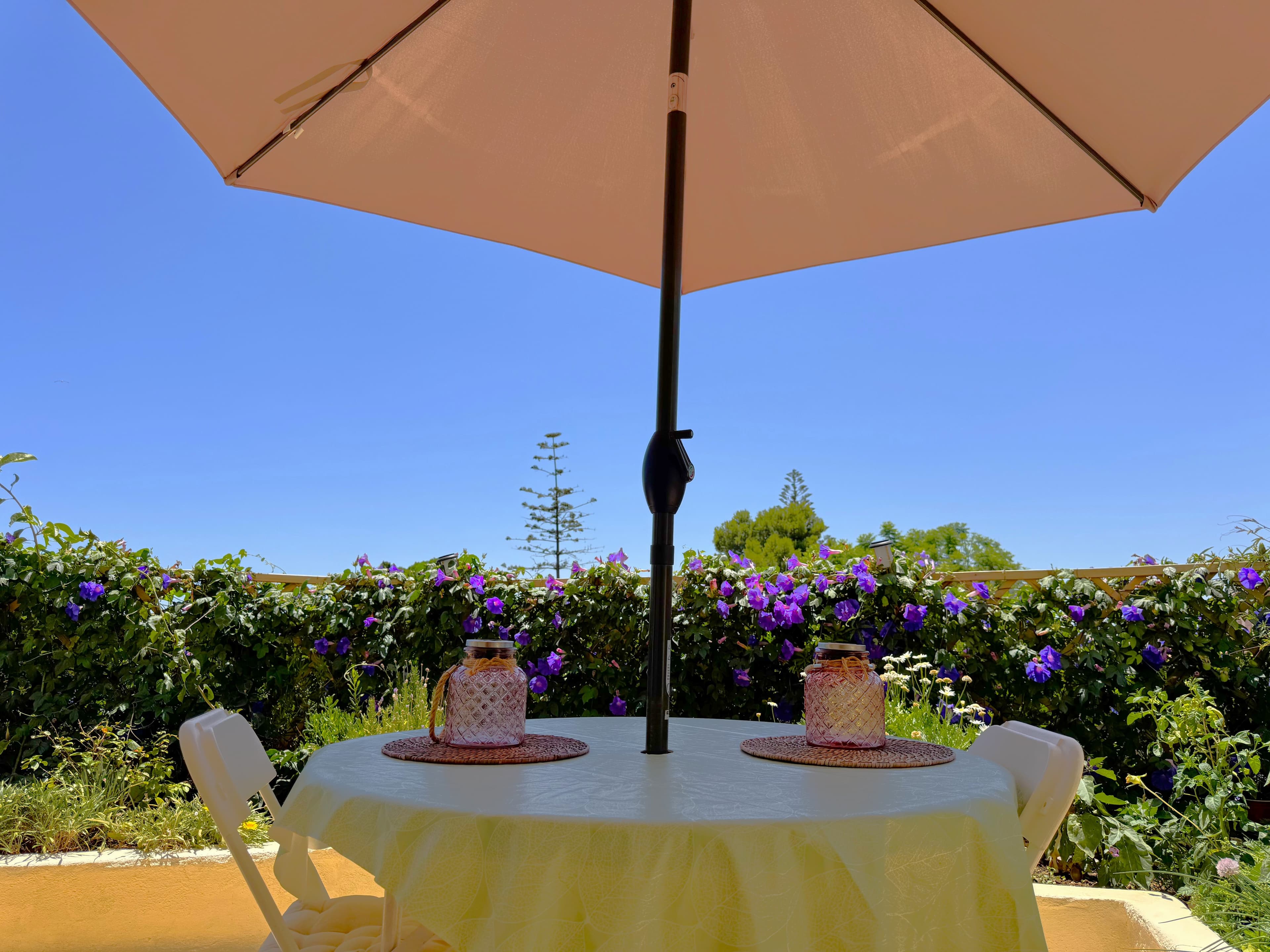 Patio/Garden